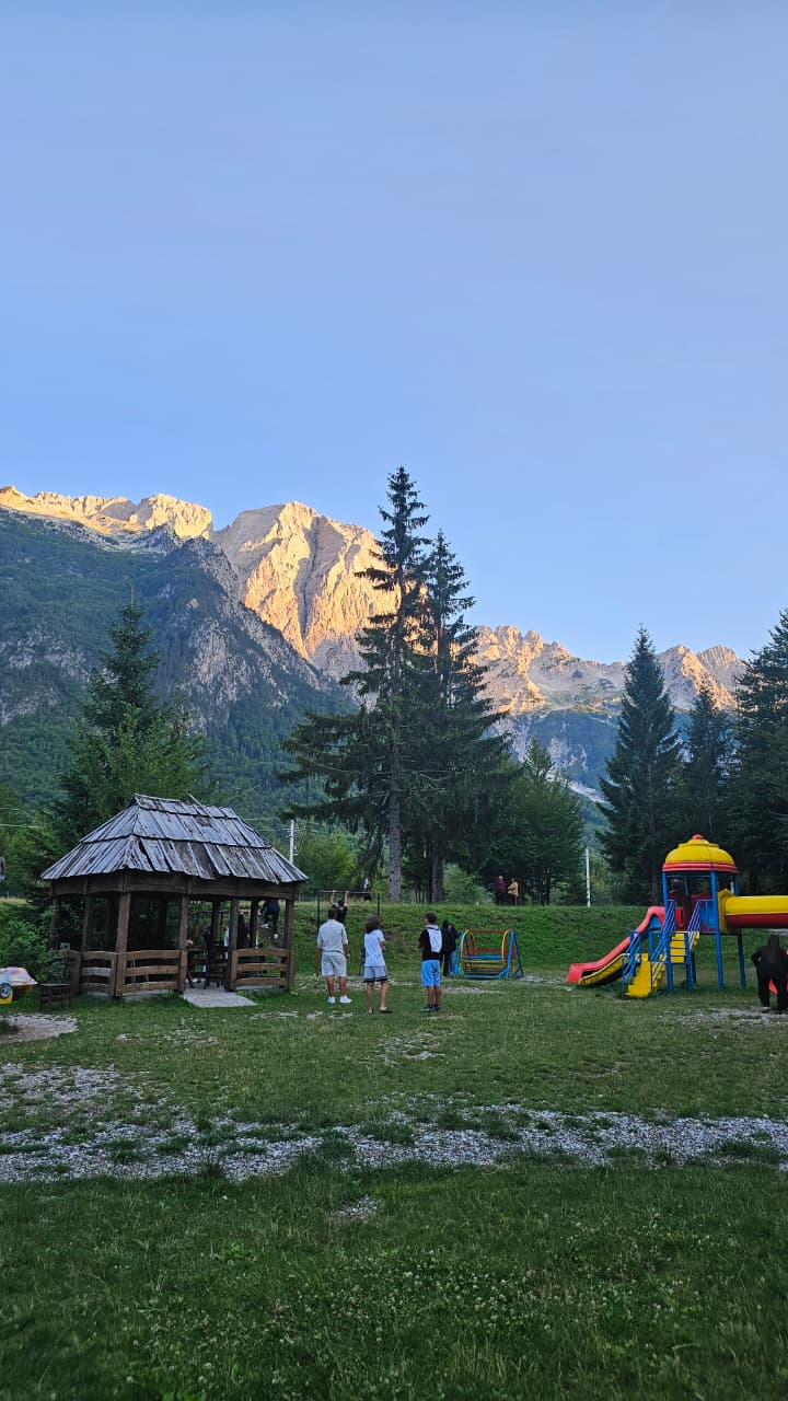 view